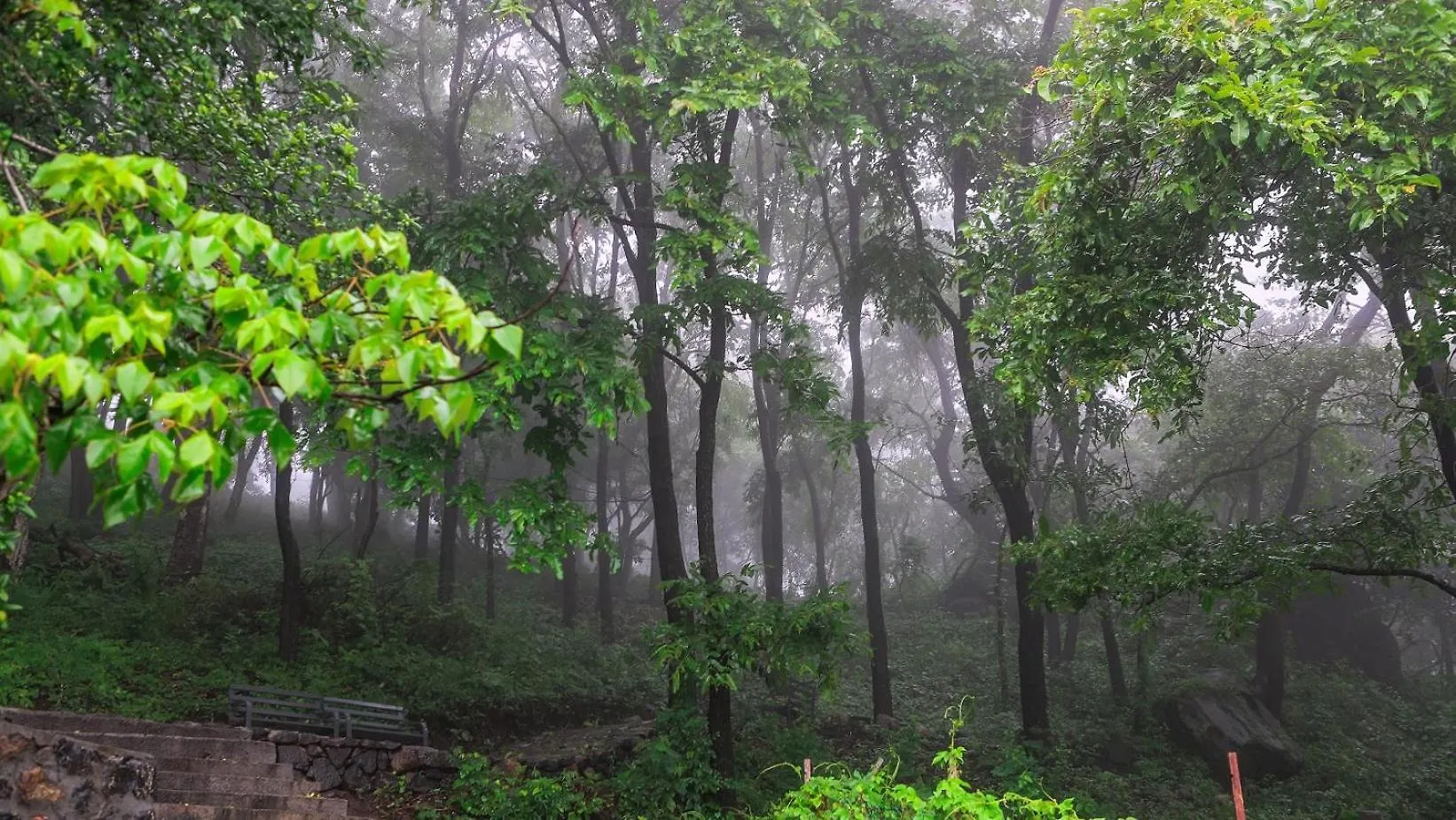 Misty Green Hills Parks & Resorts Kondotty 인도