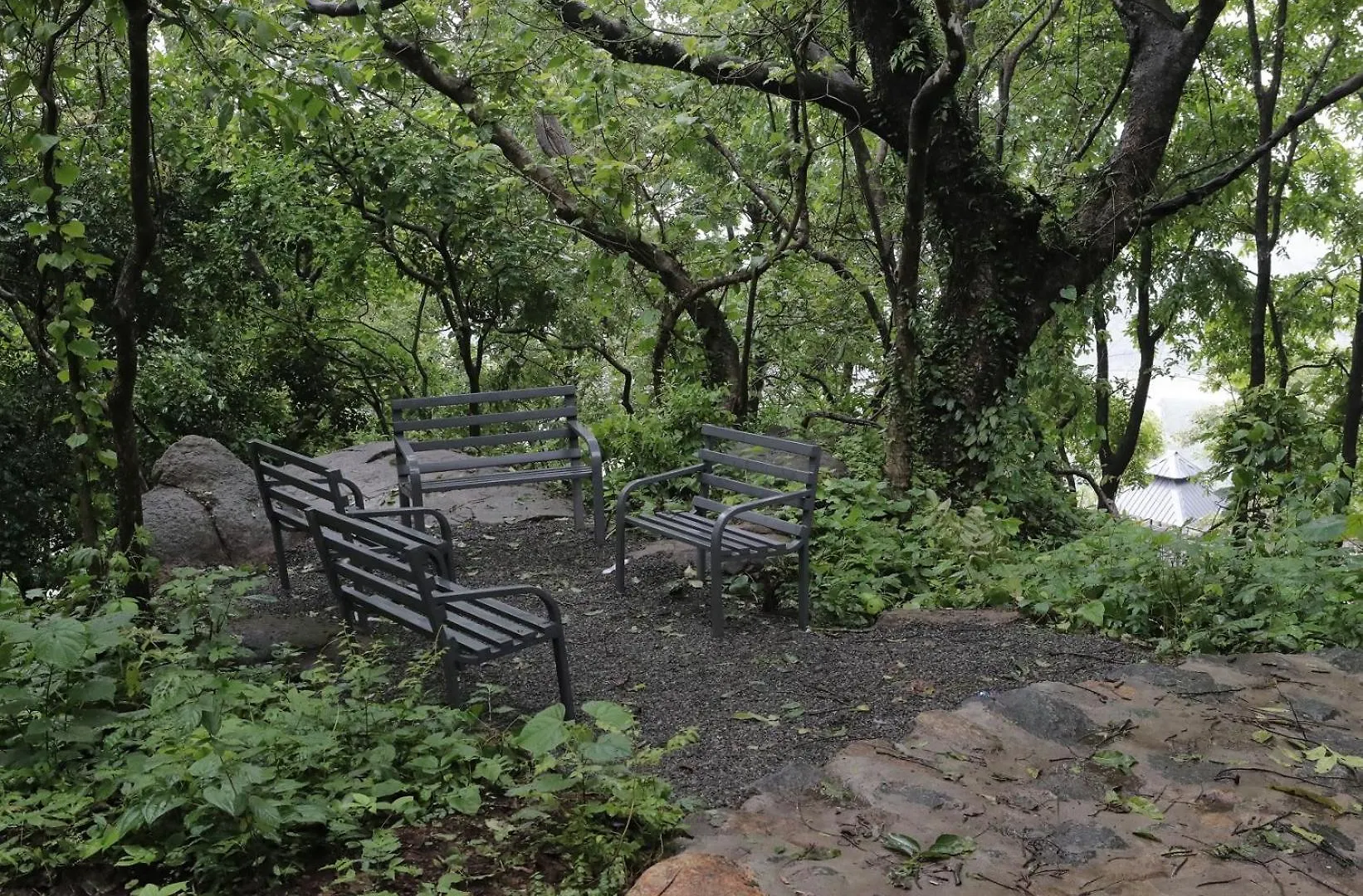 Misty Green Hills Parks & Resorts Kondotty