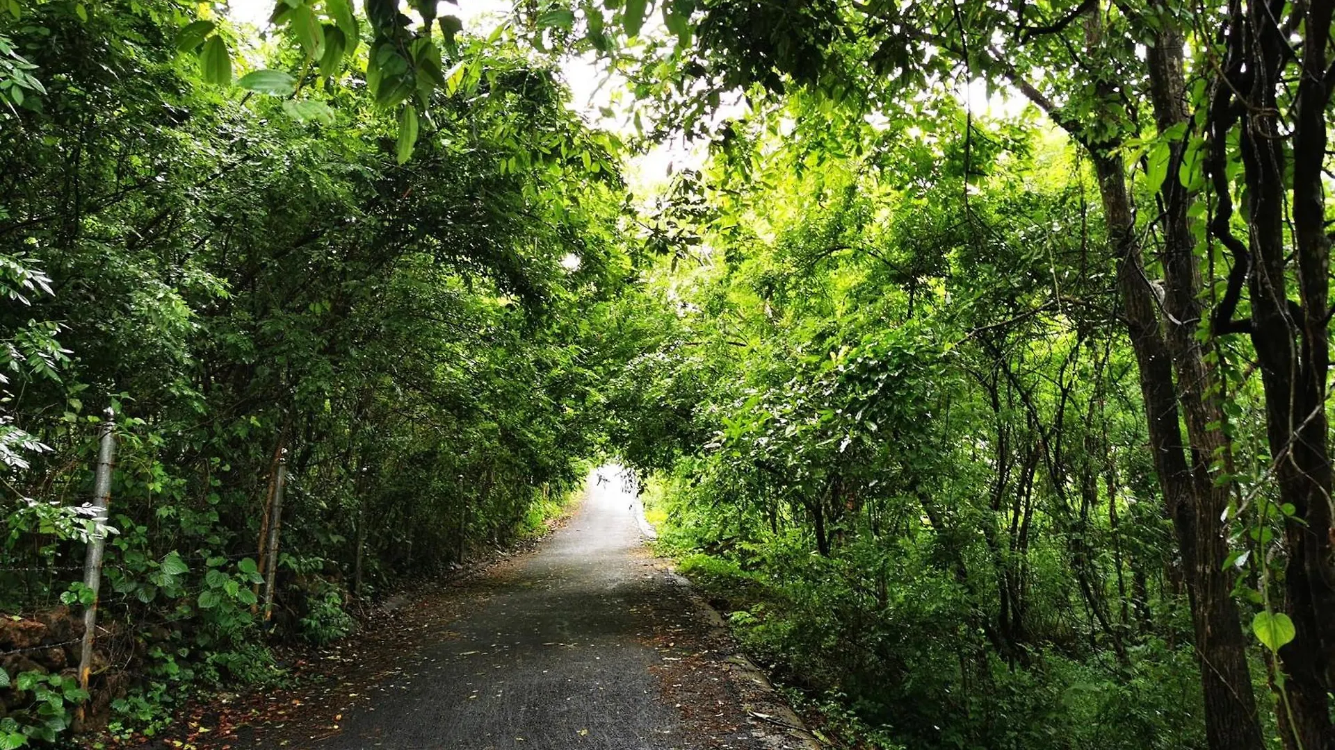 Misty Green Hills Parks & Resorts Kondotty 인도