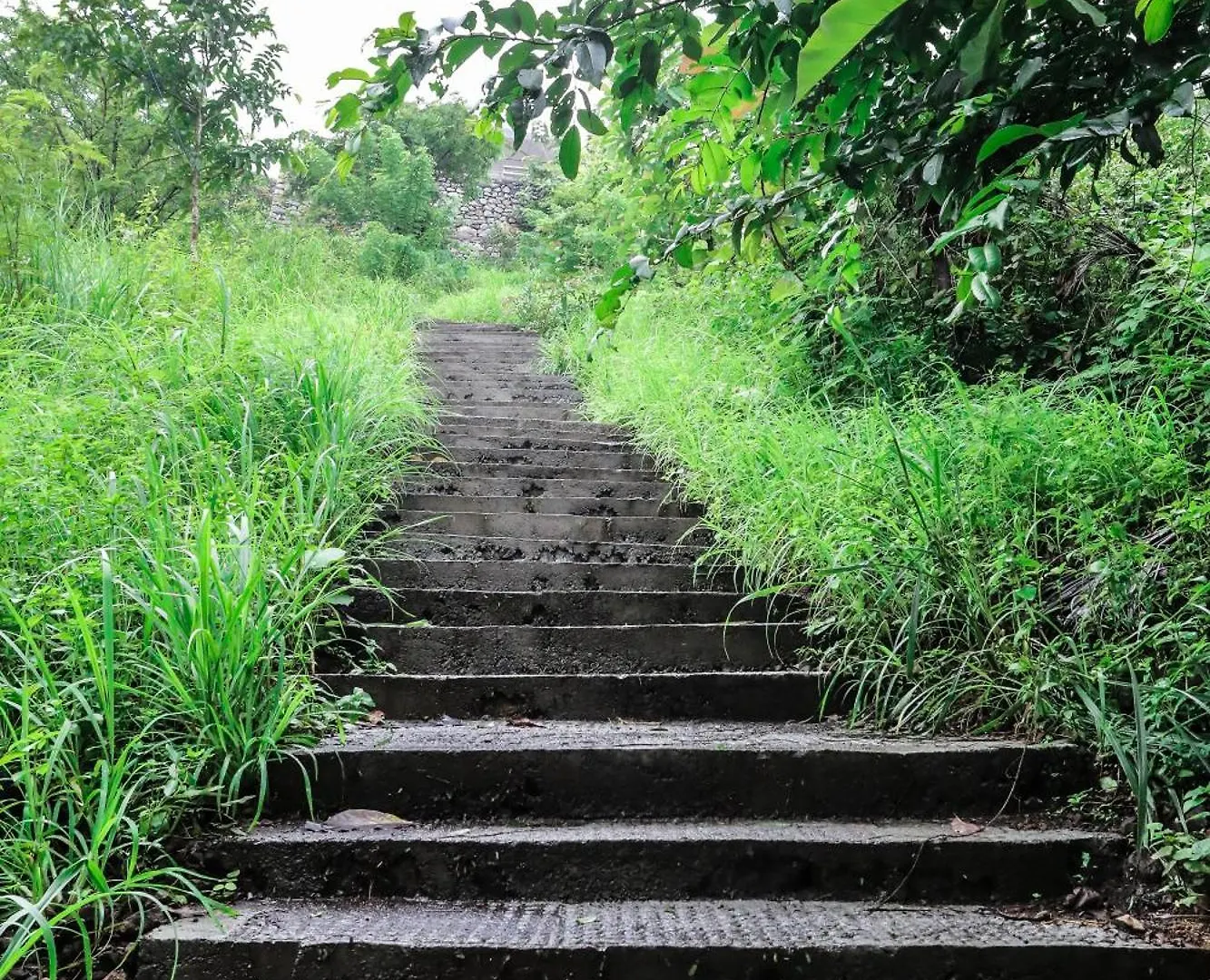 Misty Green Hills Parks & Resorts Kondotty