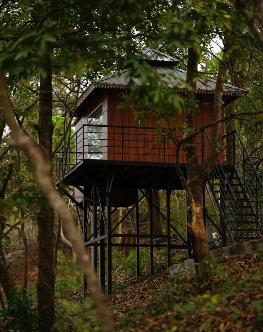 Misty Green Hills Parks & Resorts Kondotty