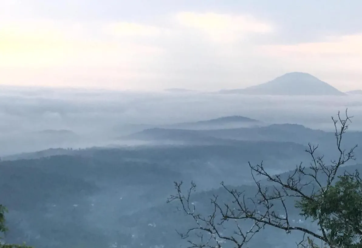 Misty Green Hills Parks & Resorts Kondotty 인도