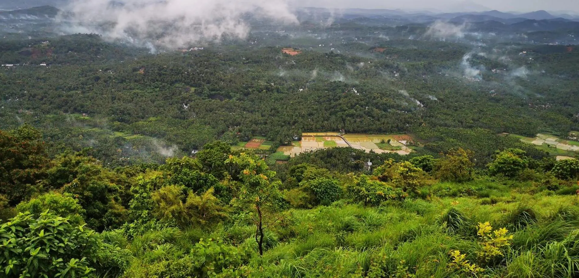 Misty Green Hills Parks & Resorts Kondotty